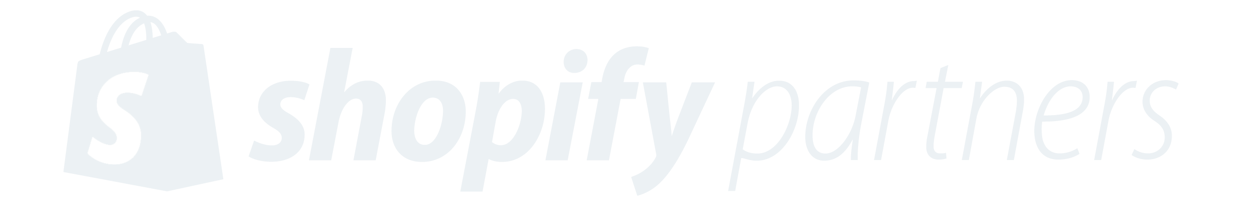 Shopify Partners